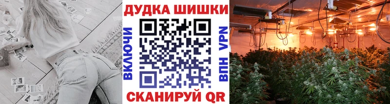 Купить закладку Топки Псилоцибиновые грибы  Бутират  Кокаин  Лсд 25  ГАШИШ  СОЛЬ 