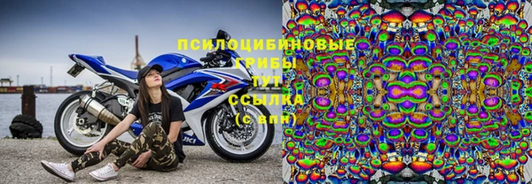 гашик Баксан
