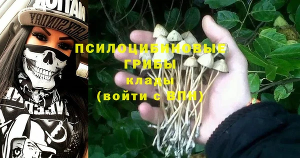гашик Баксан