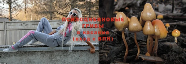 гашик Баксан